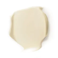 Dr. Hauschka Crème visage à la Ficoïde à Cristaux - 40 ml