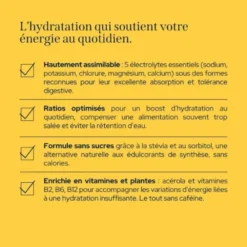 Epycure Électrolytes Énergie Mangue Passion - 20 pastilles