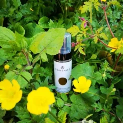 Nominoe cosmétiques Mousse nettoyante visage bio