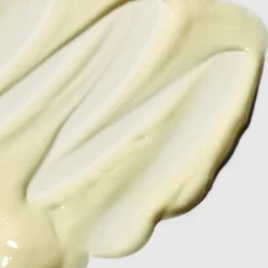 Pai Skincare Crème de jour repulpante Salvation Jane - 50 ml