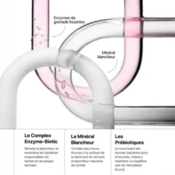 The Smilist Dentifrice reminéralisant blancheur - 75 ml